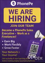 PHONEPE Filed sales executive