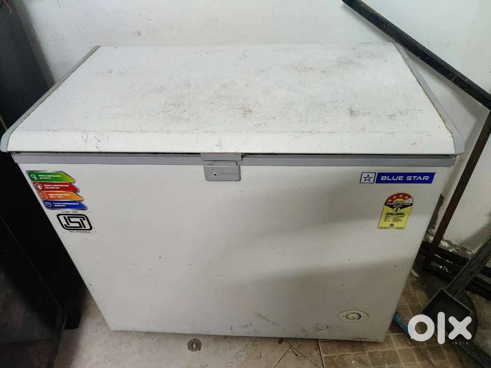 BLUE STAR DEEP FREEZER