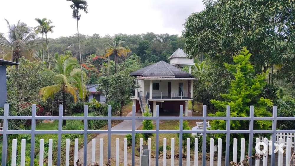 വയനാട് വീടും സ്ഥലവും വില്പനക്ക്