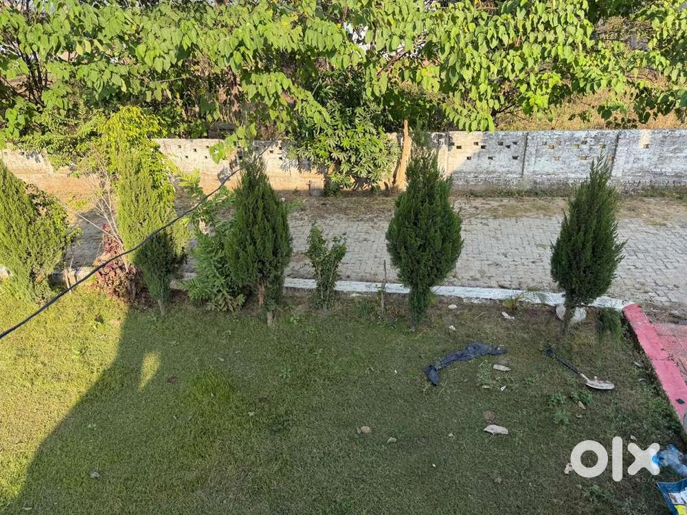 Land for sale in sidhra