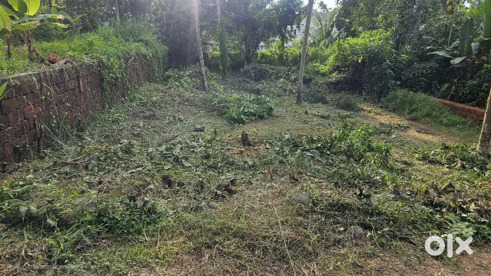 9cent best plot for make home and lodge at kottapuram,pulikal,kondotty