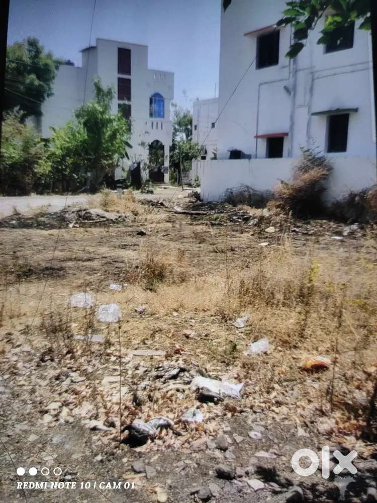 Ramakrishna school near