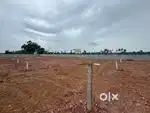 Real estate tele caller
