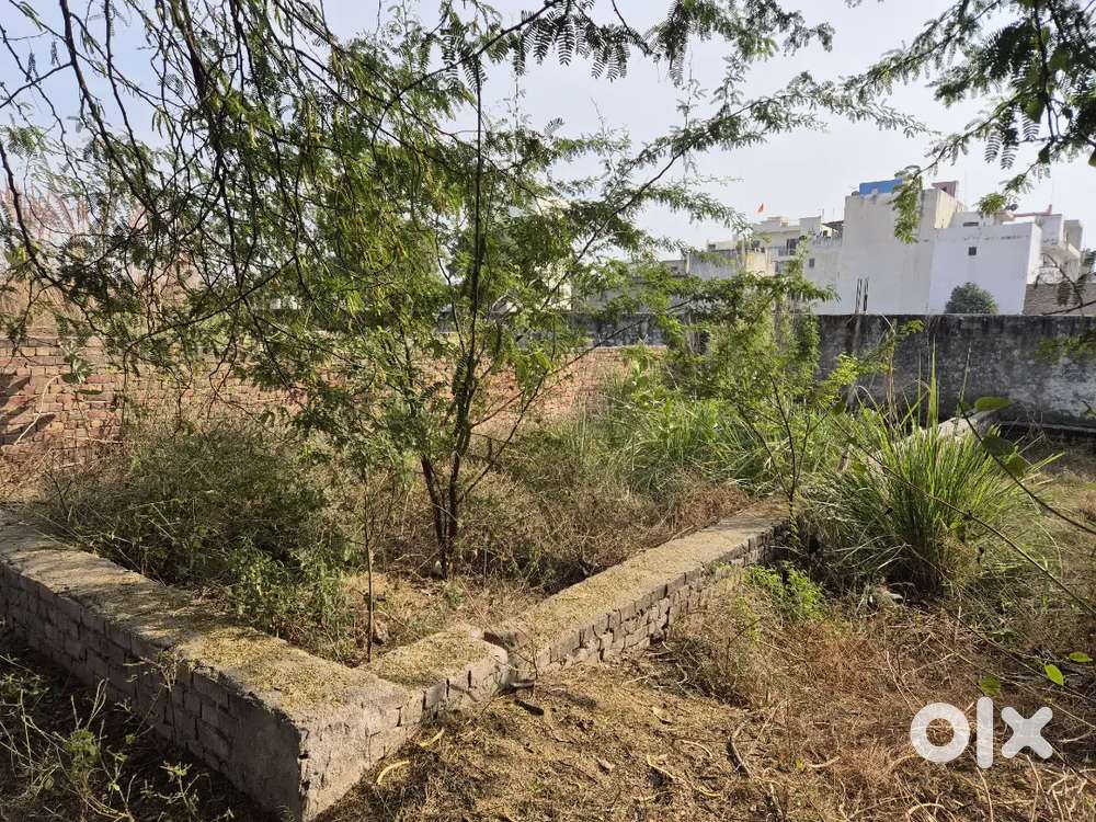 100 Gaj plot in Narela for only 25000/gaj