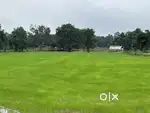 Agriculture (Khet)