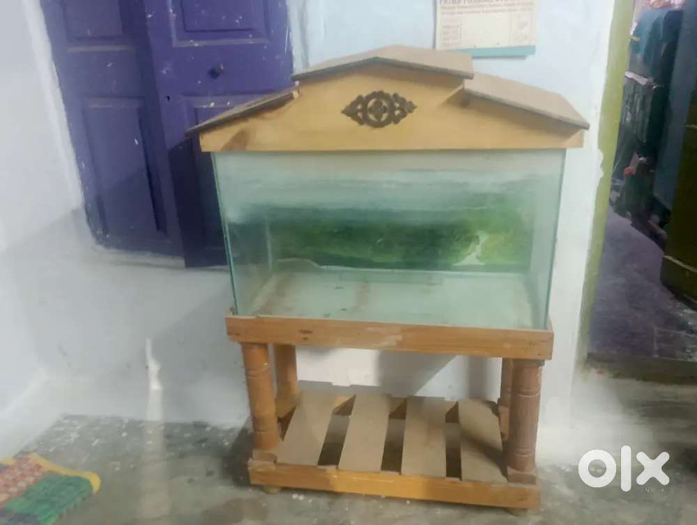 Aquarium Tank