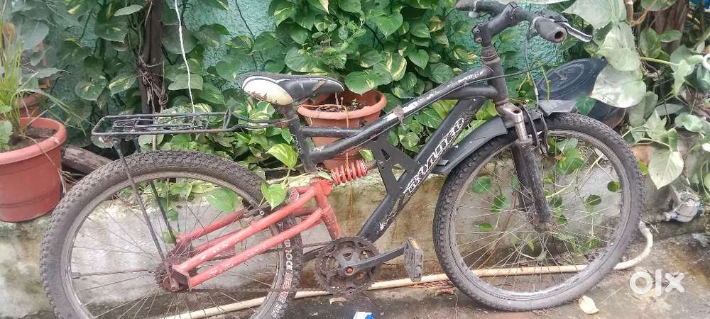 AVON guts bicycle