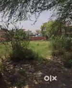 520 gaj plot for rent in ghevra delhi 110081