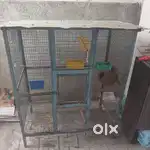 Bird Steel Cage