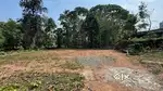 50 cent residential plot for sale at Kakkanad Edachira