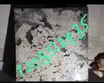 Quartz feldspar mica cream white blockable granite