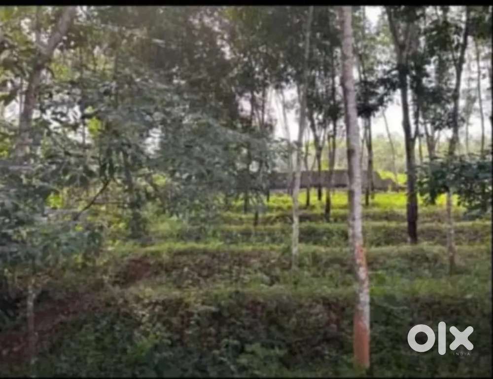 വസ്തു വിൽപ്പനയ്ക്ക്