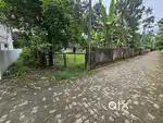 Aluva Companypady 12cent land for sale