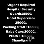 Security Guard Job all India Chandigarh