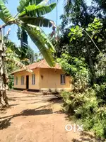 40 cent plot and house