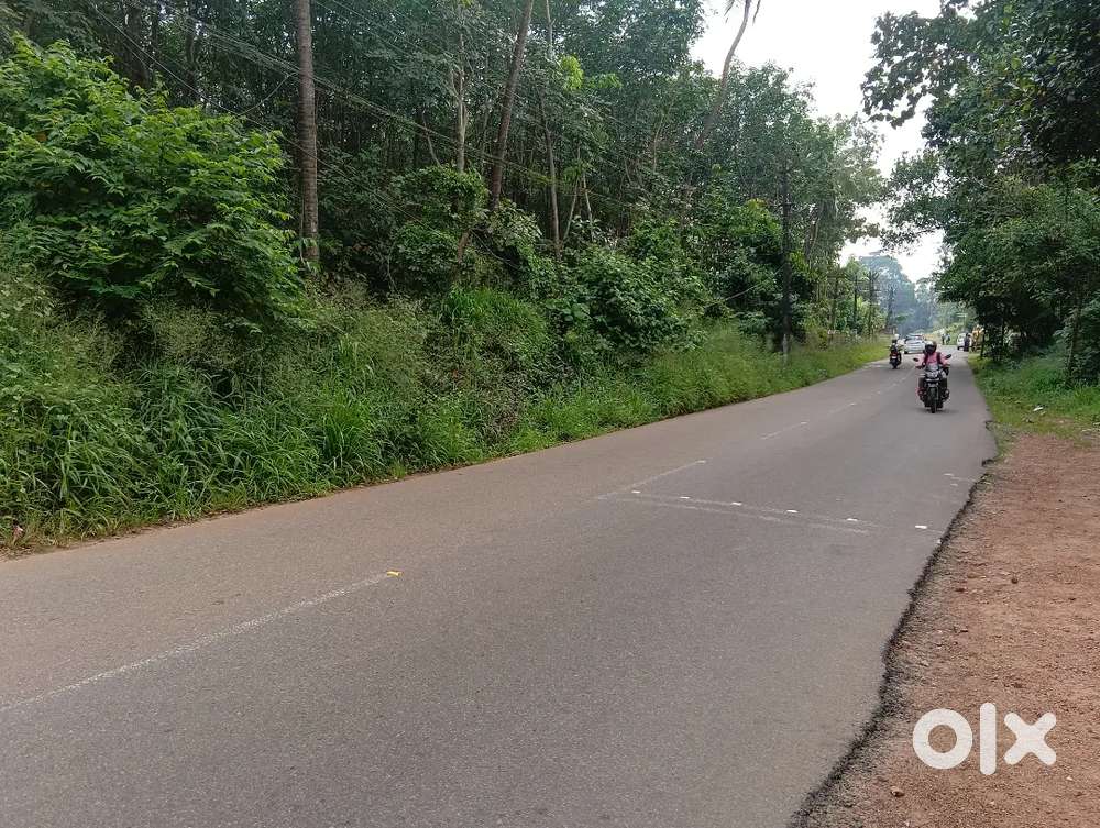 Thiruvankulam, vennikkulam house plot for sale.