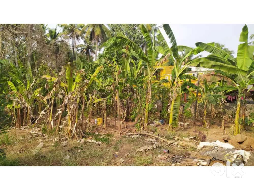 6 cent Residential land For Sale near Adatt