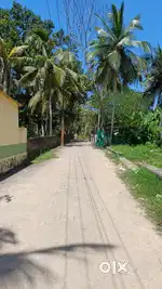 25 CENTS RESIDENTIAL LAND FOR SALE IN PUNCHAKARI THIRUVALLAM