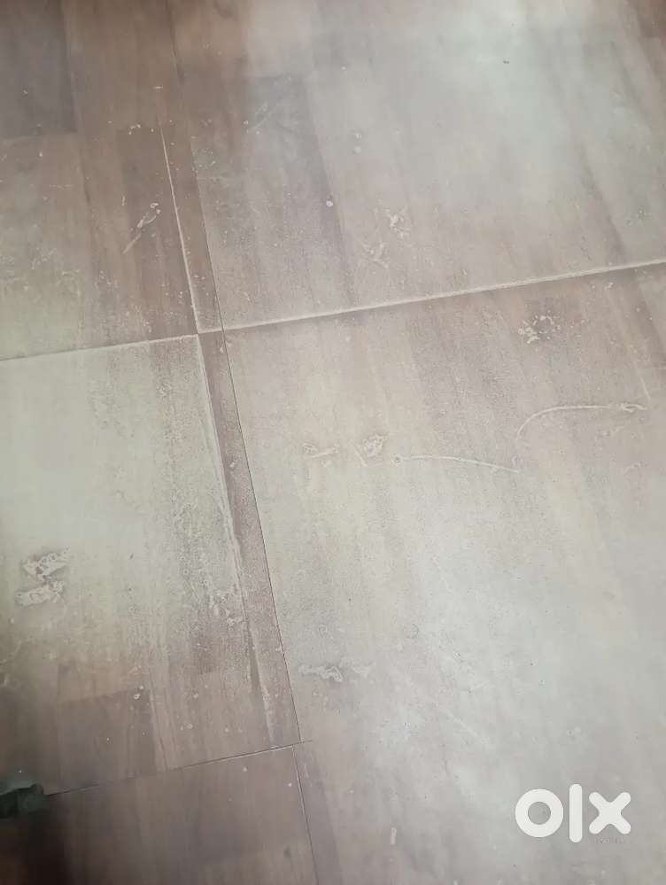 Roommate chahiye female