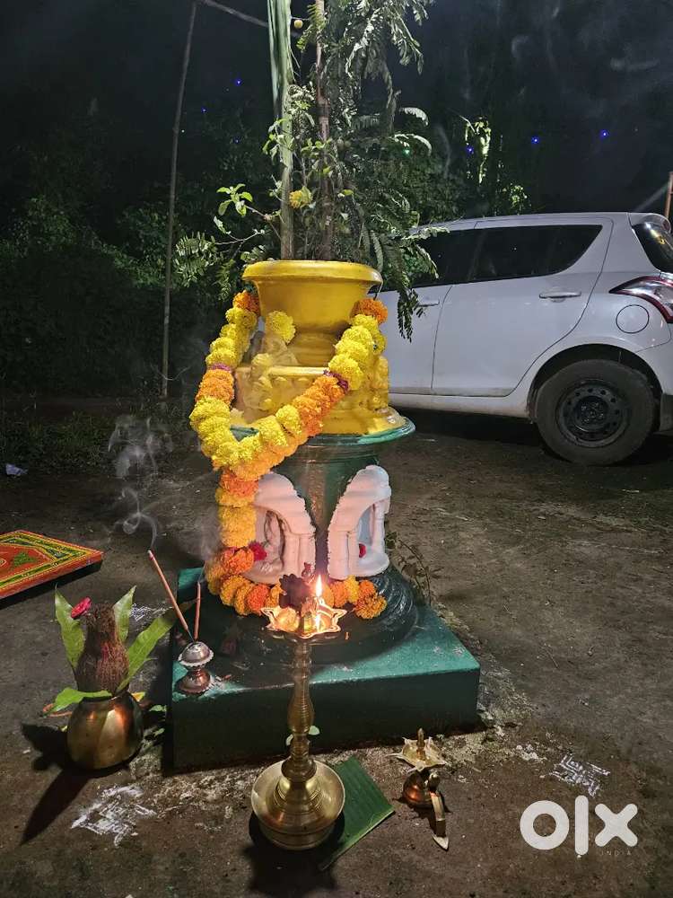 individual house at old goa diwar island for rent