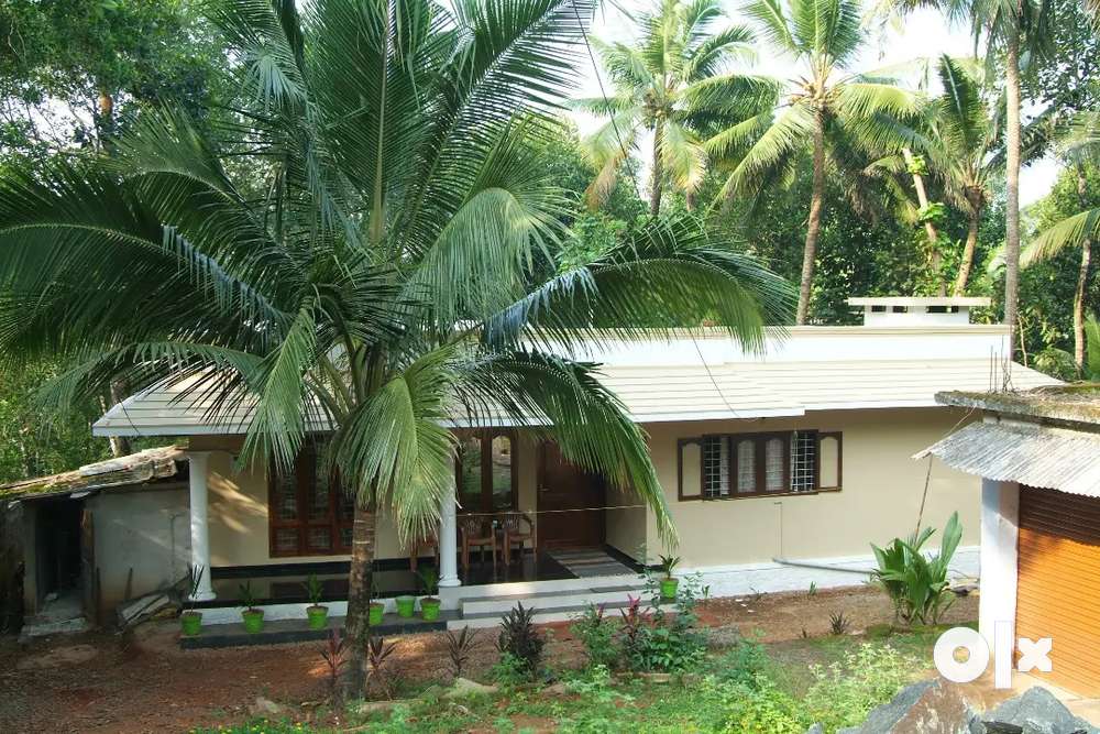 Furnished house for rent in mollavattom
