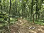 5 acre rubber purayidom near Ettumanoor kalathoor kothanalloor 2.5 cr