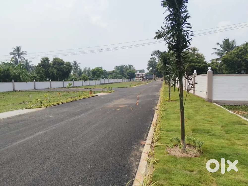Premium Gated community layout @ Thirunindravur
