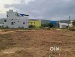 Approved plot forty feet roads good location