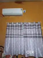 Bachelor required