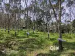 1 Acre Riverside & Forest-Side Plot for Sale in Nadavayal Wayanad