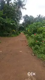 Land for sale 21 cent