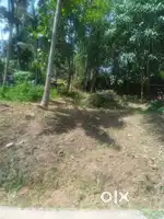 13 cent plot avanavanchery vilangara