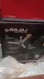 Bajaj fan hai