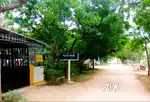Premium Land  plots