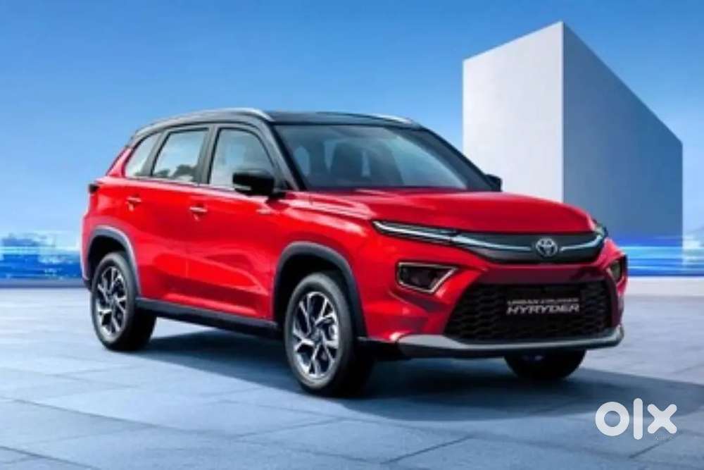 Need a professional driver for my private cars