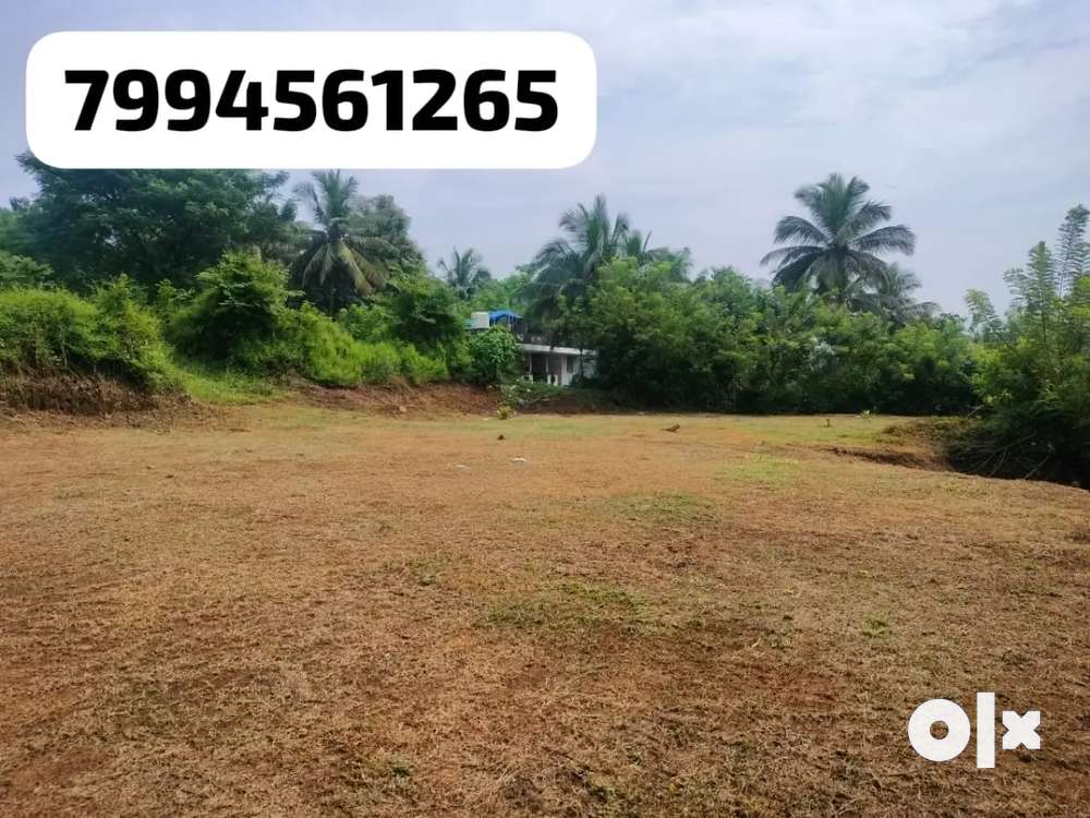 Budget residential plot for sale in pathiripala, ottapalam