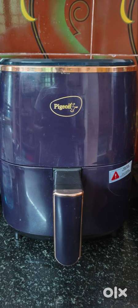 Air Fryer Pigeon