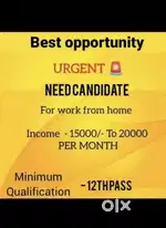 Looking the 5 candidates who can invest thier time to make 15000-20000