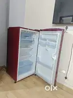 Lloyd fridge