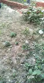 Plot sale saini wali milak