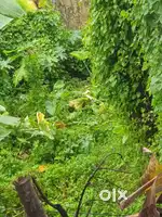 LAND FOR SALE NEAR LULU EDAPALLY
