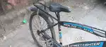 5 month old bycycle
