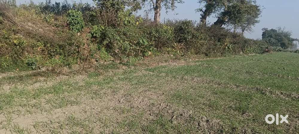 Bufricstion  road Panchayat ghar ke pass daga