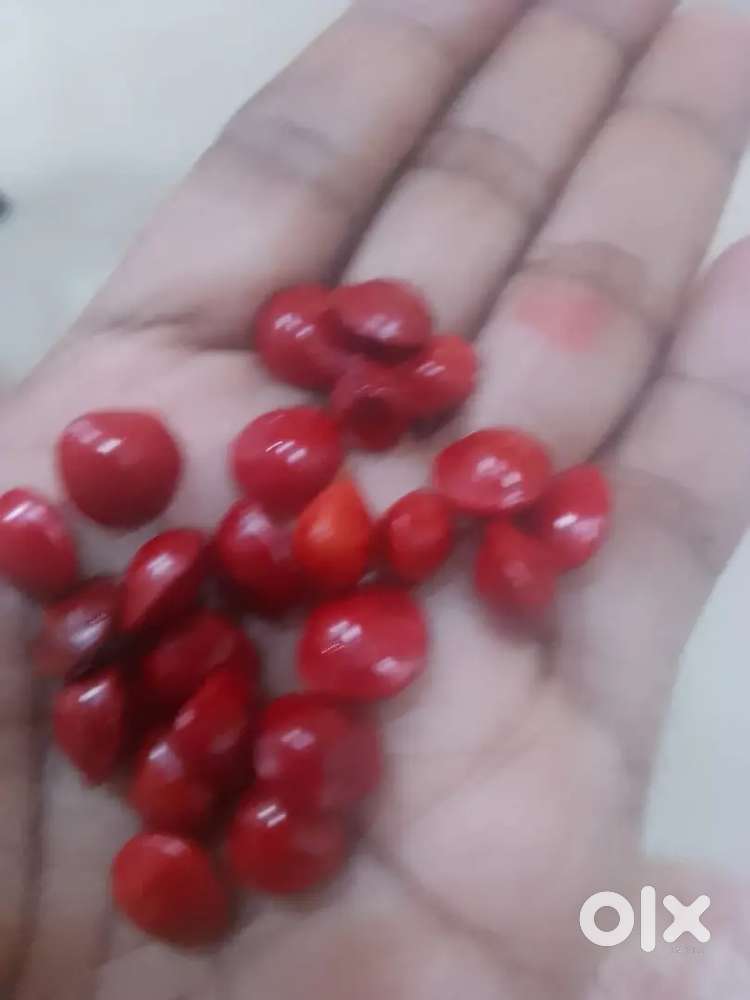 വീട്ടു ജോലിക്ക് സ്ത്രീയെ ആവശ്യമുണ്ട്