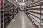 Wanted male/female packing staffs/office staffs  inside warehouse