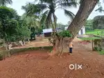 Open Land For Lease for Resorts/Mandap/Hotels/Dealerships