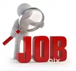 Office incharge,office assisstant, students counsellor, telecaller