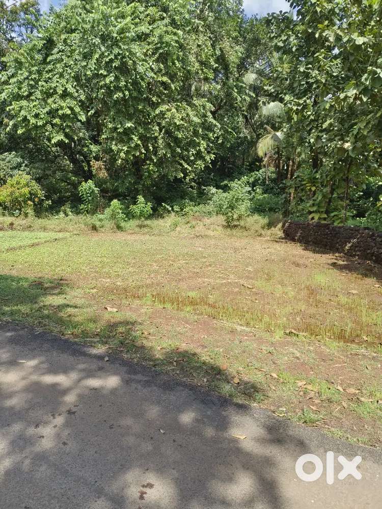 नाचणे गोडावून स्टॉप जवळ 6.60 गुंठा जमीन विकणे आहे