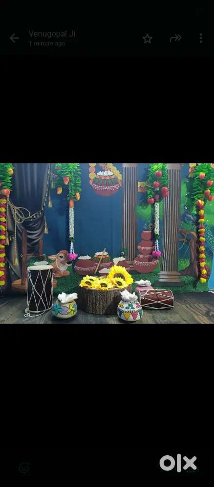 Kids Photo shoot backdrops