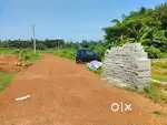 @449/-per sqft at pipili near mangalpur (nearer to NH-bypass